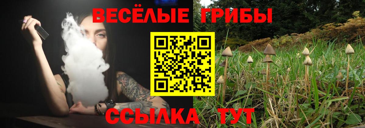 Галлюциногенные грибы прущие грибы Татарск