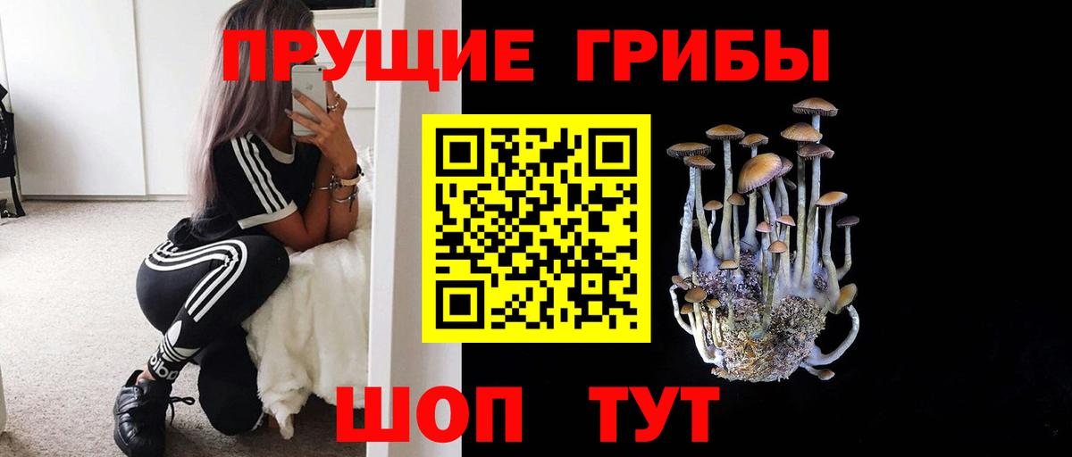 Галлюциногенные грибы Magic Shrooms  Вход с VPN  Псилоцибиновые грибы мицелий  Татарск 